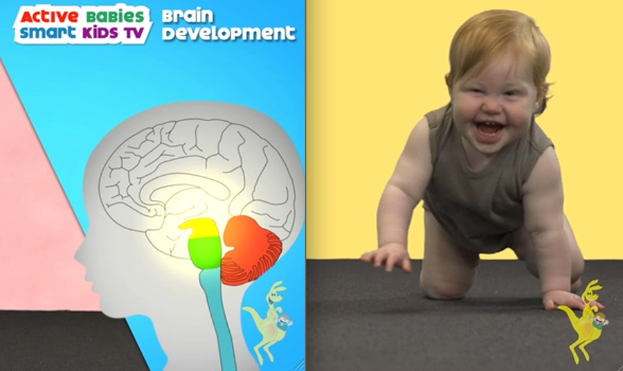 Crawling-and-brain-development-9GymbaROO BabyROO Active Babies Smart Kids